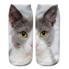Chaussettes Créatives À Imprimé Chat