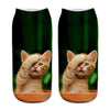 Chaussettes Créatives À Imprimé Chat